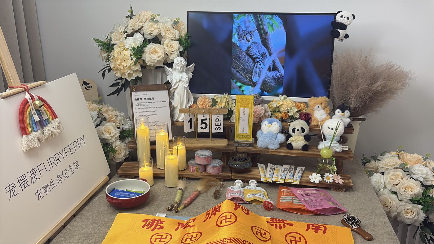 带上这些，告别更完整