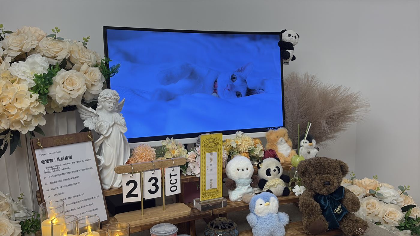 无锡宠物火化多少钱？锡城火化收费全解析