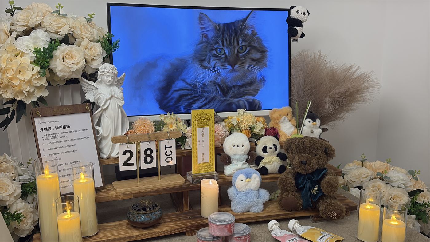 如何面对宠物离世的悲伤？写给无锡养宠人的心理支持