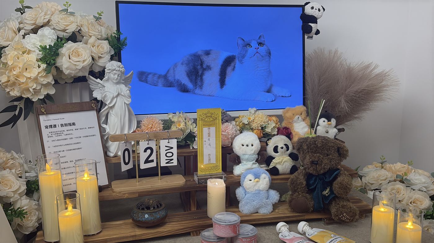 二、每一笔钱花在哪里